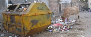 garbage-in-india-1