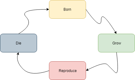 Life Cycle of every living being.